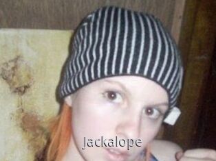 Jackalope