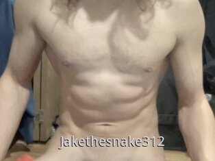 Jakethesnake312