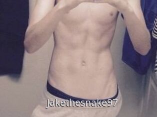 Jakethesnake97
