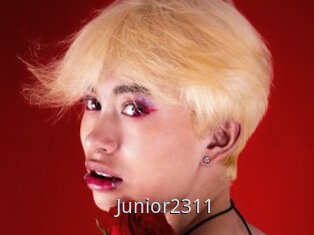 Junior2311