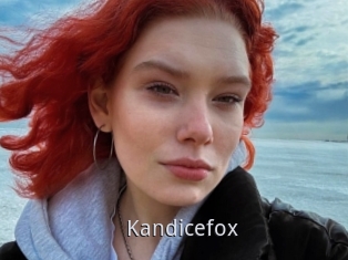 Kandicefox