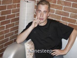 Kanesteep