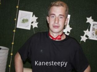 Kanesteepy