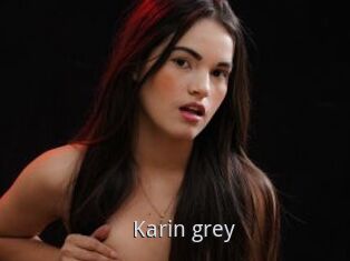 Karin_grey