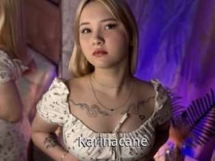 Karinacane