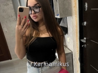 Karinamikus