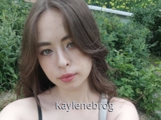 Kaylenebrog
