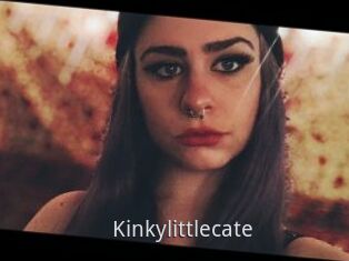 Kinkylittlecate