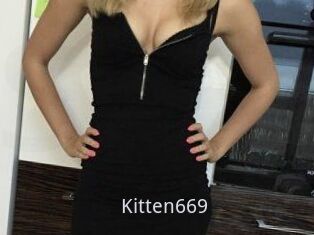 Kitten669