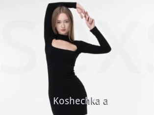 Koshechka_a