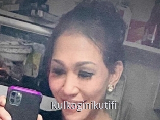 Kulkoginikutifi