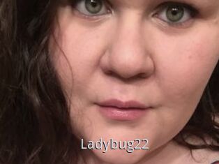 Ladybug22