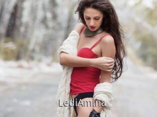 LediAmina
