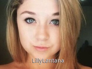 LillyLantana