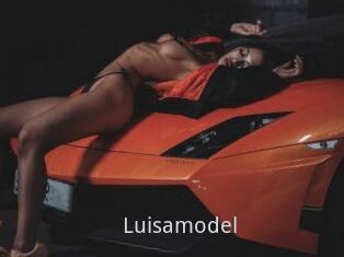 Luisamodel