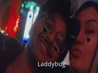 Laddybug