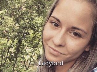Ladybird