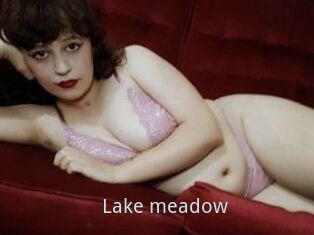 Lake_meadow