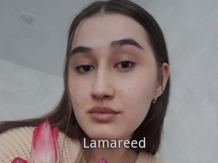 Lamareed
