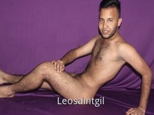 Leosaintgil