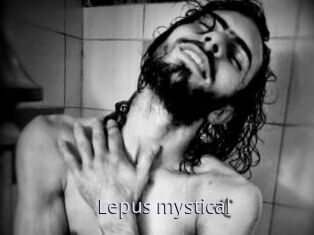 Lepus_mystical