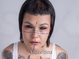 Lilacollina