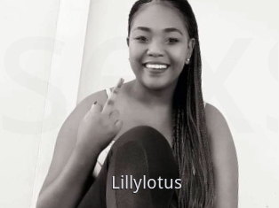 Lillylotus
