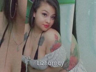Lizhorney