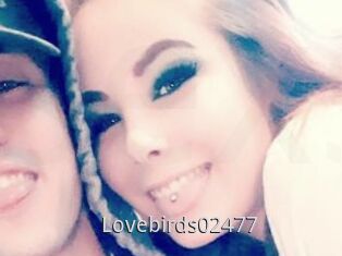 Lovebirds02477