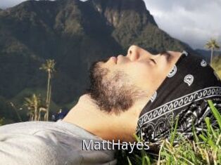 MattHayes