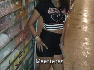 Meesteres