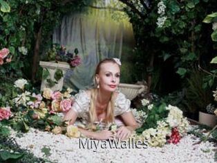 MiyaWalles
