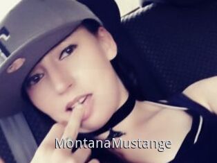 MontanaMustange