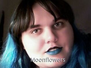 Moonflowers