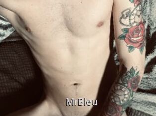 MrBleu