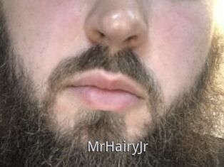MrHairyJr
