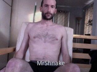 MrShnake