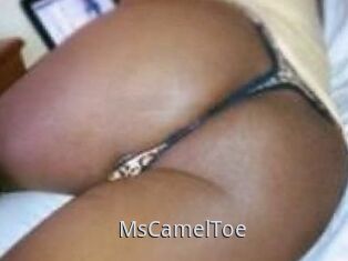 MsCamelToe