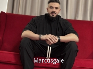 Marcusgale