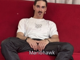 Mariohawk