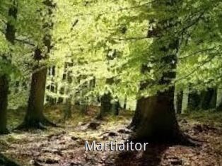 Martiaitor