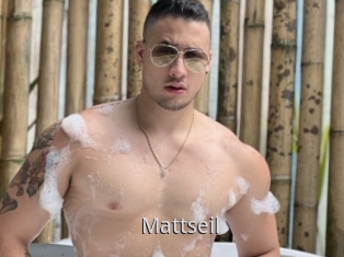 Mattseil