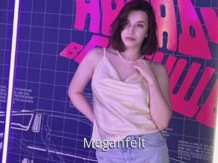 Meganfelt