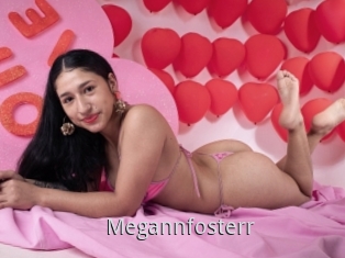 Megannfosterr