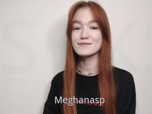 Meghanasp