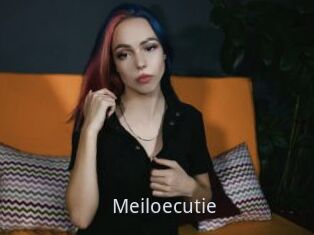Meiloecutie