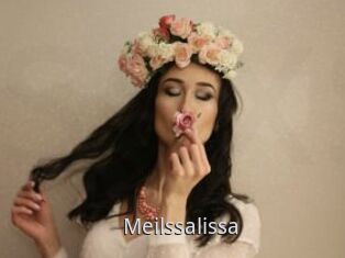 Meilssalissa