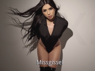 Missgissel