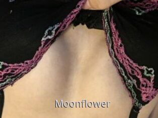 Moonflower
