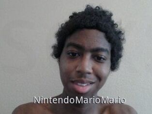 NintendoMarioMario